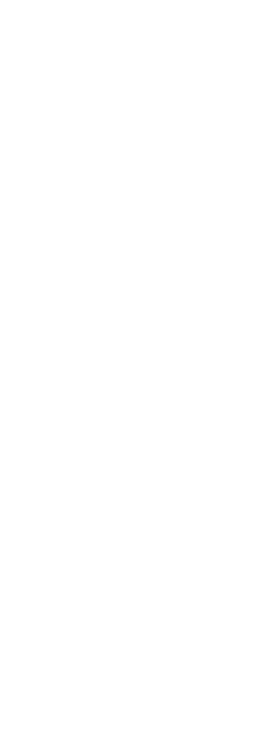 aikido gouda letters 400x1065 wit